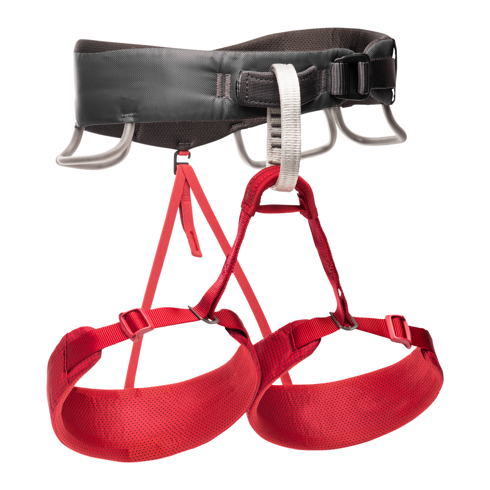 Momentum Harness - Women's